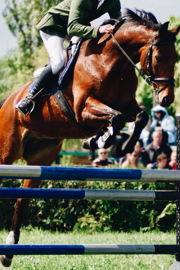 Que faut-il savoir sur le gilet airbag en CSO ?