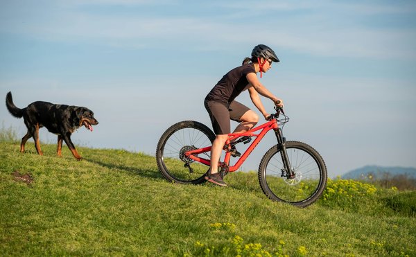 VTT Rossignol : combien coûte le véhicule ?